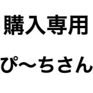 ぴ〜ちさん専用(その他)