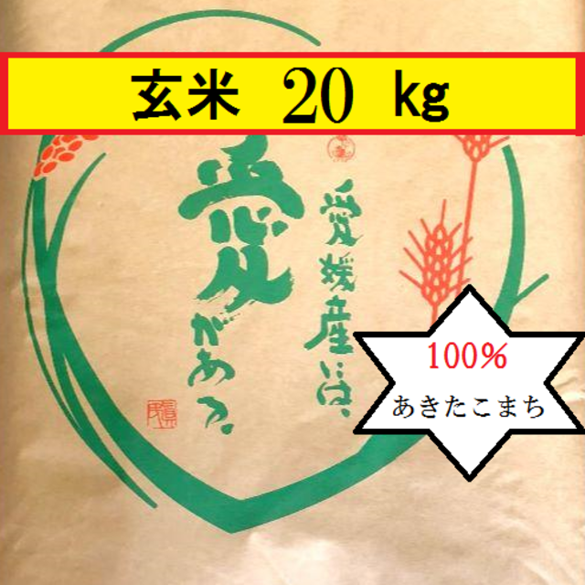 お米 令和元年 愛媛県産あきたこまち 玄米 20kg - 米/穀物