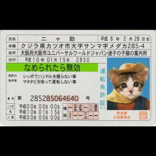 なめ猫　免許証風カード 