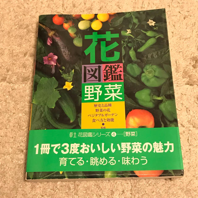 花図鑑 野菜 エンタメ/ホビーの本(その他)の商品写真