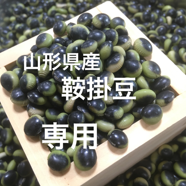 しょこ様専用 山形県産 鞍掛豆(青大豆)900g 食品/飲料/酒の食品(野菜)の商品写真