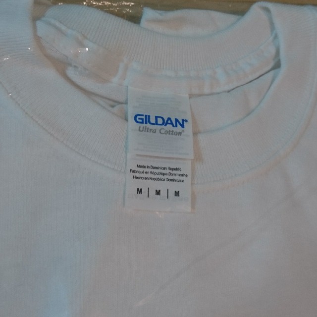 WACKO MARIA(ワコマリア)のスカフレイムス Tシャツ メンズのトップス(Tシャツ/カットソー(半袖/袖なし))の商品写真