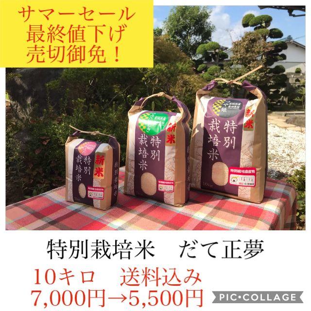 サマーセール✼最終値下げ✼宮城県産だて10キロ 食品/飲料/酒の食品(米/穀物)の商品写真