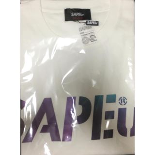 SAPEur  オーロラリフレクター ブラウン Ｔシャツ