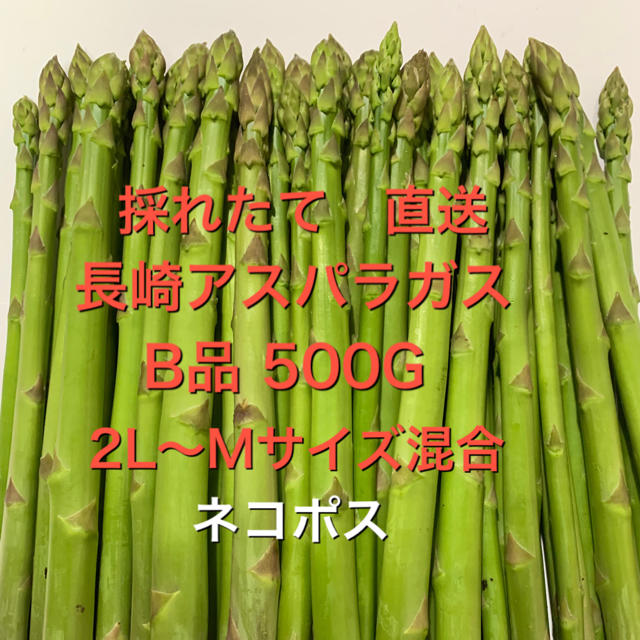 長崎産アスパラガス　B品 500G 食品/飲料/酒の食品(野菜)の商品写真