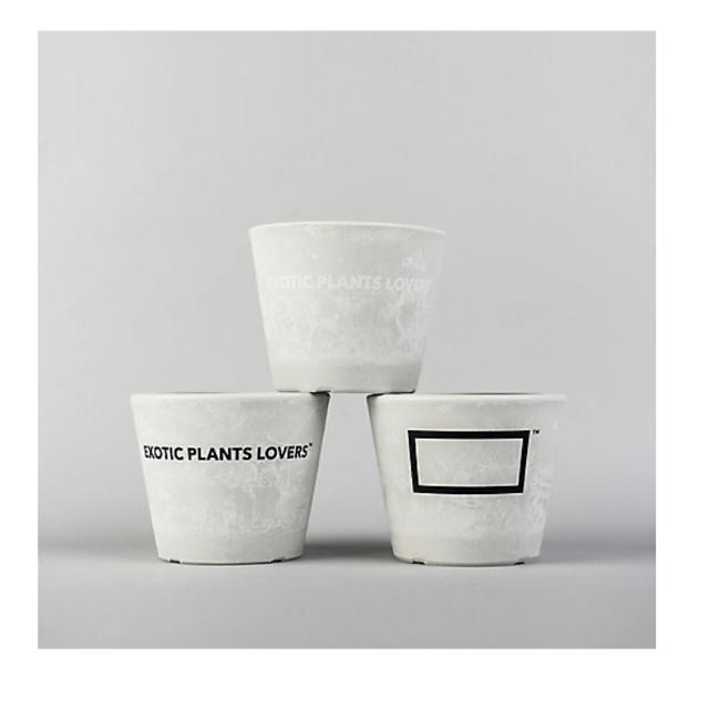 完売　BOTANIZE ボタナイズ　プラスチック鉢（3個セット） | フリマアプリ ラクマ