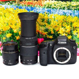 Canon - ⭐永遠の名機♪⭐キヤノン EOS 7D ダブルズームキットの通販 ...