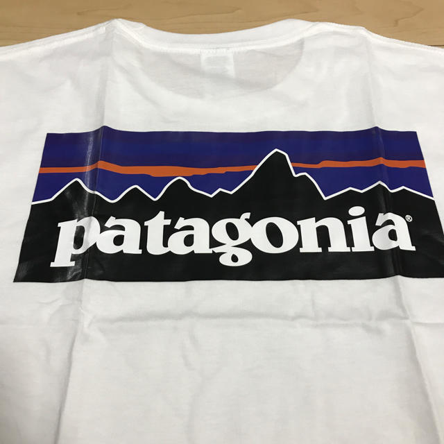 patagonia(パタゴニア)の【新品】パタゴニア  男女兼用　Tシャツ メンズのトップス(Tシャツ/カットソー(半袖/袖なし))の商品写真