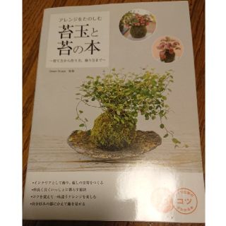 アレンジをたのしむ苔玉と苔の本 育て方から作り方、飾り方まで(趣味/スポーツ/実用)