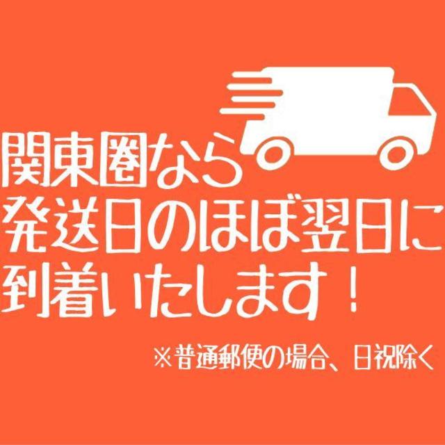 フィリップス 電動歯ブラシ用 替ブラシ16本 HX6064 HX6062 互換品 スマホ/家電/カメラの美容/健康(電動歯ブラシ)の商品写真