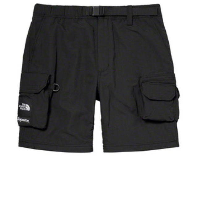 Supreme The North Face Belted Cargo Pant 1