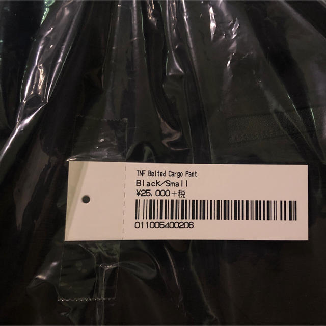 Supreme The North Face Belted Cargo Pant 3