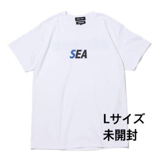 アトモス(atmos)のWIND AND SEA x atoms （lenny様専用）(Tシャツ/カットソー(半袖/袖なし))