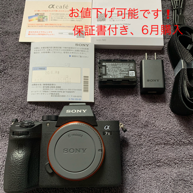 SONY(ソニー)のsony α7 III （保証書付き、6月購入） スマホ/家電/カメラのカメラ(ミラーレス一眼)の商品写真