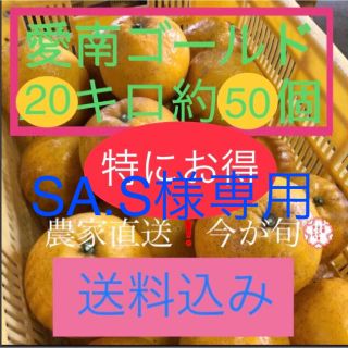 愛媛県産 農家直送 愛南ゴールド(河内晩柑)(フルーツ)