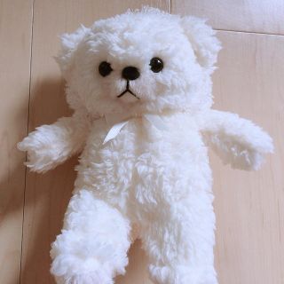 コクーニスト(Cocoonist)のクマのぬいぐるみ(ぬいぐるみ)