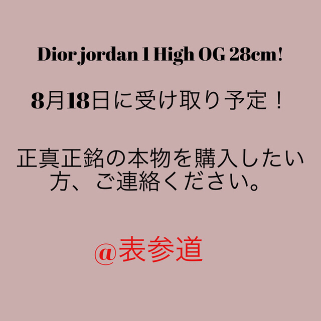 Dior(ディオール)のDIOR×NIKE AIR DIOR Air Jordan 1 High OG メンズの靴/シューズ(スニーカー)の商品写真