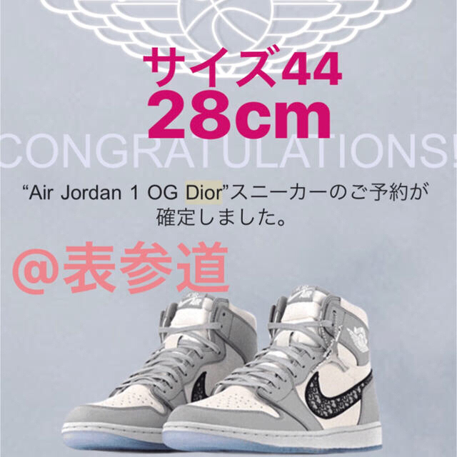 Dior(ディオール)のDIOR×NIKE AIR DIOR Air Jordan 1 High OG メンズの靴/シューズ(スニーカー)の商品写真