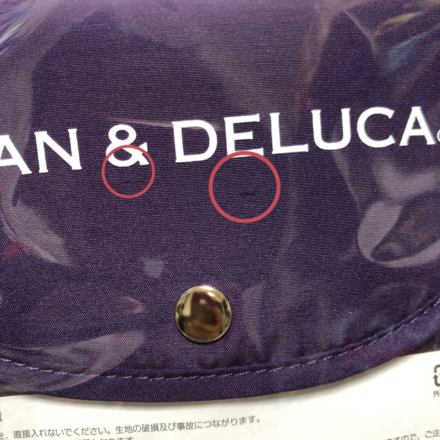 DEAN & DELUCA(ディーンアンドデルーカ)の【難あり】DEAN&DELUCA  エコバッグ　京都限定 レディースのバッグ(エコバッグ)の商品写真