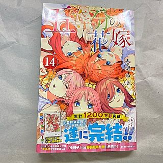 五等分の花嫁　14巻(少年漫画)