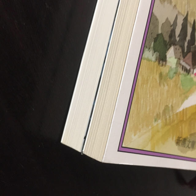 夏目漱石「こころ」「草枕」 エンタメ/ホビーの本(文学/小説)の商品写真