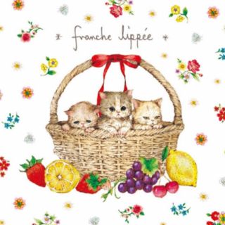 フランシュリッペ(franche lippee)のfranche lippée (フランシュリッペ)マスキングテープ(テープ/マスキングテープ)