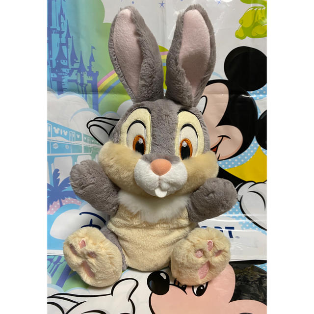 ディズニー とんすけ ハンドパペットの通販 By あおねこ S Shop ラクマ ディズニー とんすけ ハンドパペットの通販 By あおねこ S Shop ラクマ