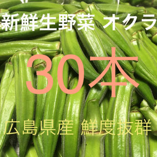 広島県産 新鮮生野菜 鮮度抜群 朝採り夕採り 旬の夏野菜 一袋オクラ30本(野菜)