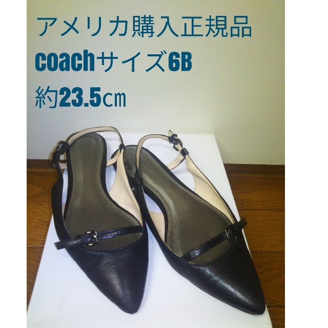 COACH(コーチ)のサマーセール7/31迄❗️正規品🌟COACH🌟サンダル レディースの靴/シューズ(サンダル)の商品写真