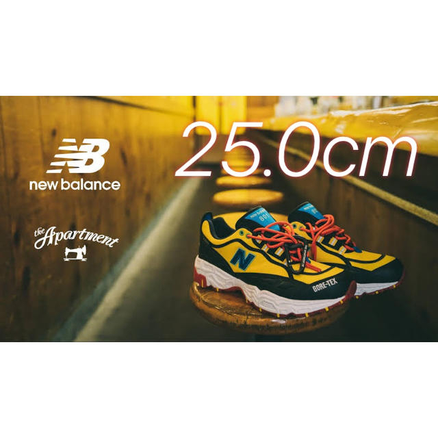 New Balance(ニューバランス)のML801 GTX × the Apartment メンズの靴/シューズ(スニーカー)の商品写真