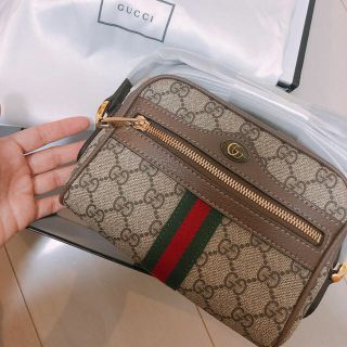 グッチ(Gucci)のGUCCI オフディア　ミニバック(トートバッグ)