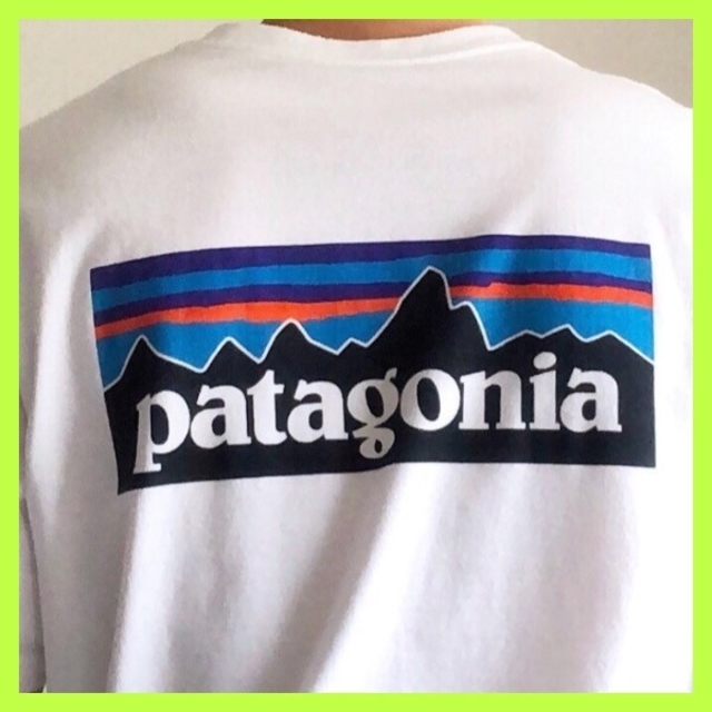 patagonia(パタゴニア)の【Lサイズ】パタゴニア ホワイト Tシャツ 半袖 胸ポケットつき メンズのトップス(Tシャツ/カットソー(半袖/袖なし))の商品写真