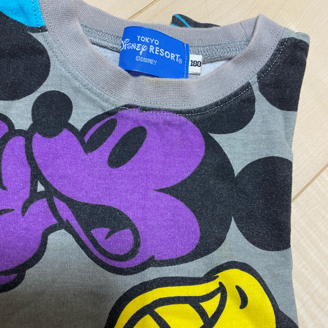 Disney(ディズニー)のディズニーリゾート　Tシャツ キッズ/ベビー/マタニティのキッズ服女の子用(90cm~)(Tシャツ/カットソー)の商品写真