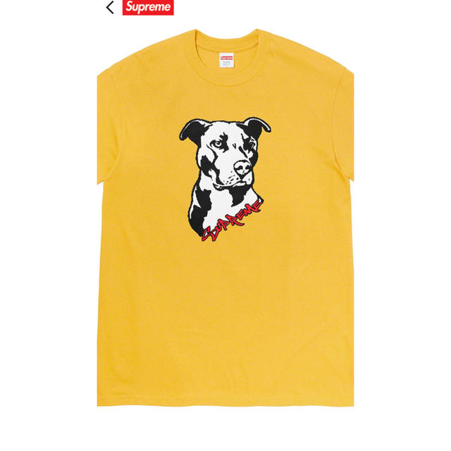 supreme week19 ピットブルTシャツ　Mサイズ