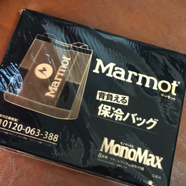 MARMOT(マーモット)のモノマックス　8月号　付録　マーモット　保冷バッグ メンズのバッグ(バッグパック/リュック)の商品写真