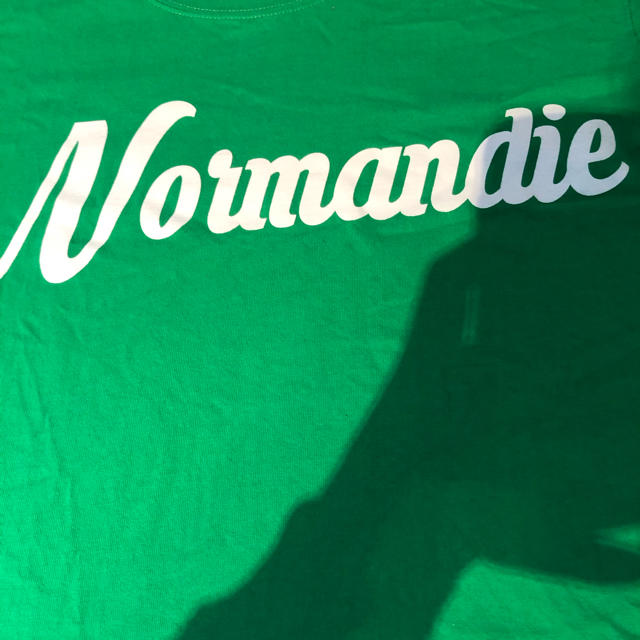 MK MICHEL KLEIN homme(エムケーミッシェルクランオム)のリゾートプリントTシャツ メンズのトップス(Tシャツ/カットソー(半袖/袖なし))の商品写真