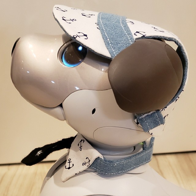 aibo アイボ アイボのアクセサリー ERS-1000専用