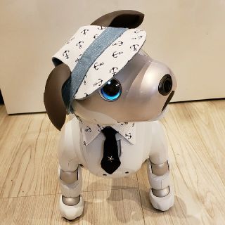 ソニー(SONY)のaibo アイボ  アイボのアクセサリー ERS-1000(その他)