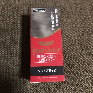 ドクターシーラボ(Dr.Ci Labo)のドクターシーラボ　簡単ひと塗り白髪カバー　10ml　ソフトブラック(白髪染め)