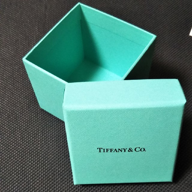 Tiffany & Co.(ティファニー)のナツメ様専用 レディースのバッグ(ショップ袋)の商品写真