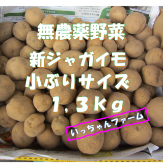 無農薬野菜　新ジャガイモ（きたあかり&ダンシャク）　一口サイズ　１，３ｋｇ(野菜)