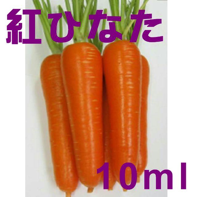 残約30ml：人参の種「紅ひなた」コート種子　約10ml　（約250粒） 食品/飲料/酒の食品(野菜)の商品写真