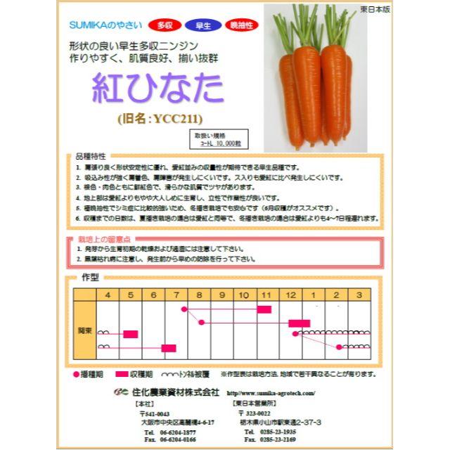 残約30ml：人参の種「紅ひなた」コート種子　約10ml　（約250粒） 食品/飲料/酒の食品(野菜)の商品写真