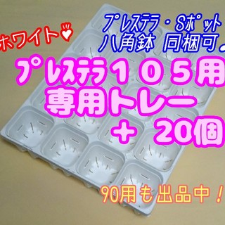 【スリット鉢】プレステラ105白20個＋専用システムトレー白1枚 多肉植物(プランター)