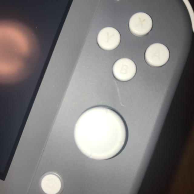 ニンテンドースイッチライト　グレー　品 2