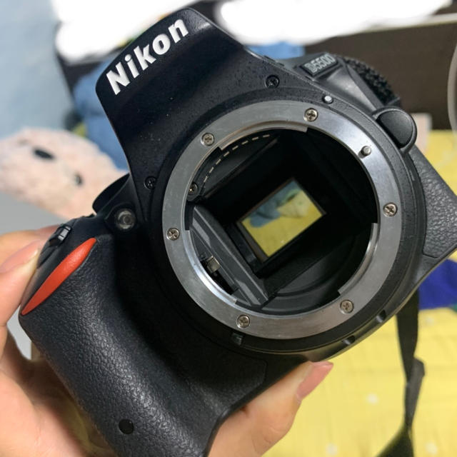 ナガティオン様専用 その他のその他(その他)の商品写真