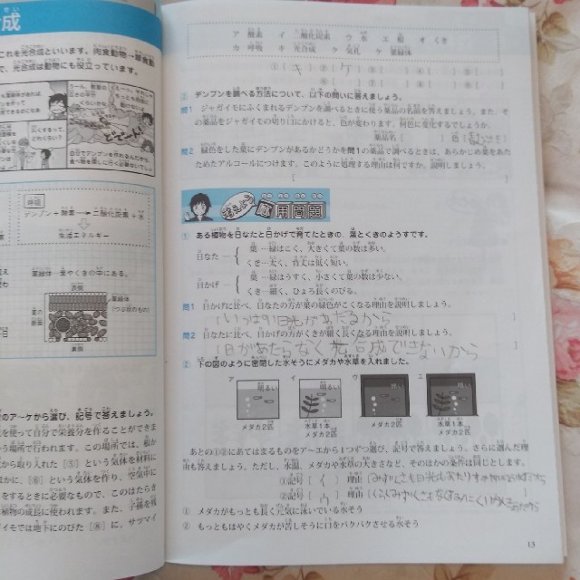 考える理科 中学受験入門問題集 エンタメ/ホビーの本(語学/参考書)の商品写真