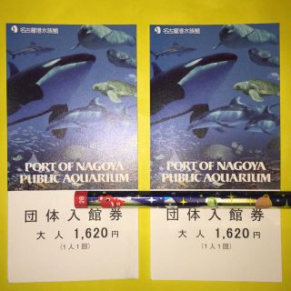 名古屋港水族館 チケット 大人4枚  メルシオさま専用(水族館)