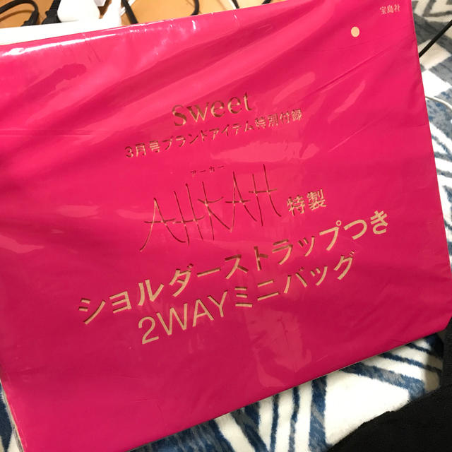 AHKAH(アーカー)のsweet付録　　ショルダーストラップ付き2WAYミニバッグ レディースのバッグ(ショルダーバッグ)の商品写真