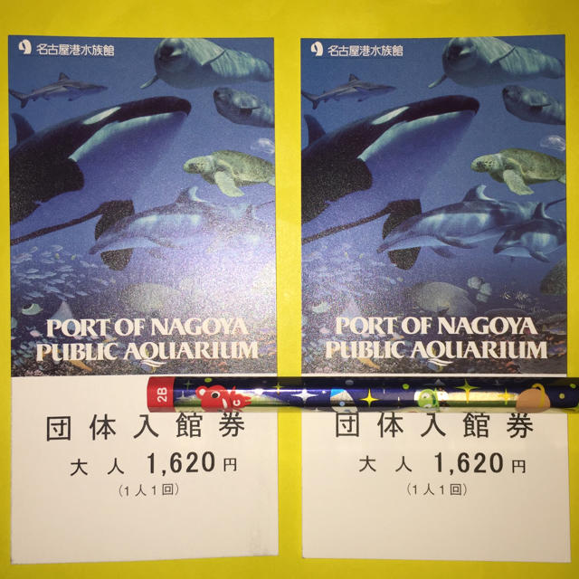名古屋港水族館　入館券　チケット大人4枚大人4枚